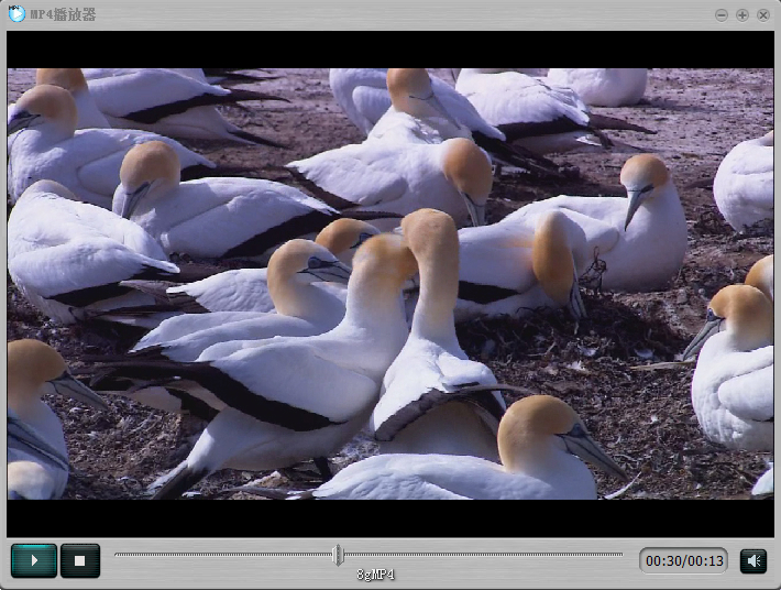 實(shí)用MP4播放器操作