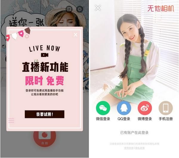 無(wú)他伴侶電腦版
