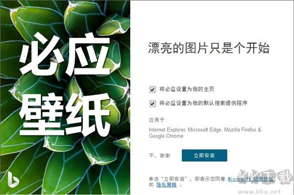 必應(yīng)壁紙電腦版