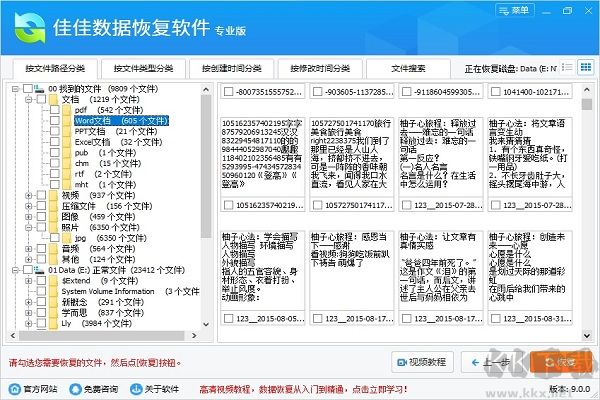佳佳數(shù)據(jù)恢復(fù)軟件專(zhuān)業(yè)版