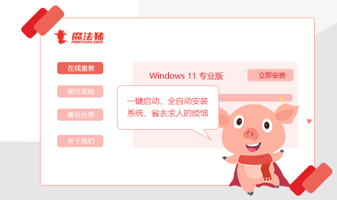 魔法豬系統(tǒng)重裝大師 v12.7.49純凈版升級(jí)版