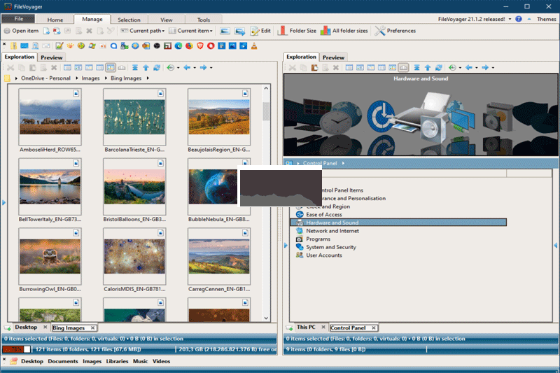 FileVoyager v24.1.2 正版版