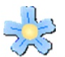 小學(xué)數(shù)學(xué)口算訓(xùn)練助手 v1.0