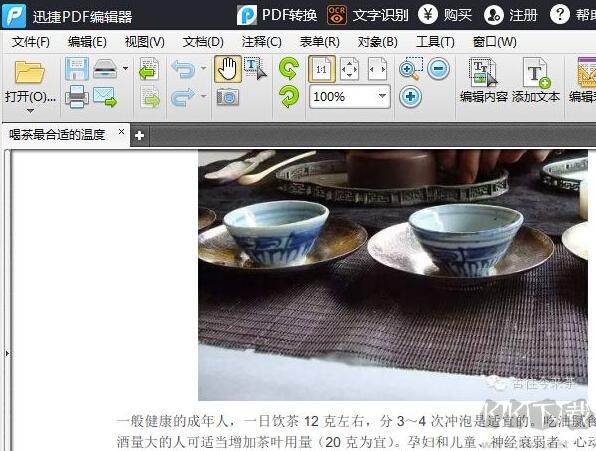 迅捷PDF編輯器截圖