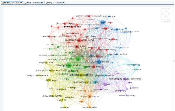 VOSviewer Screenshot