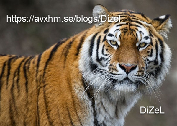 NXPowerLite(文檔優(yōu)化工具)