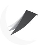 字由 v4.0.5 最新版