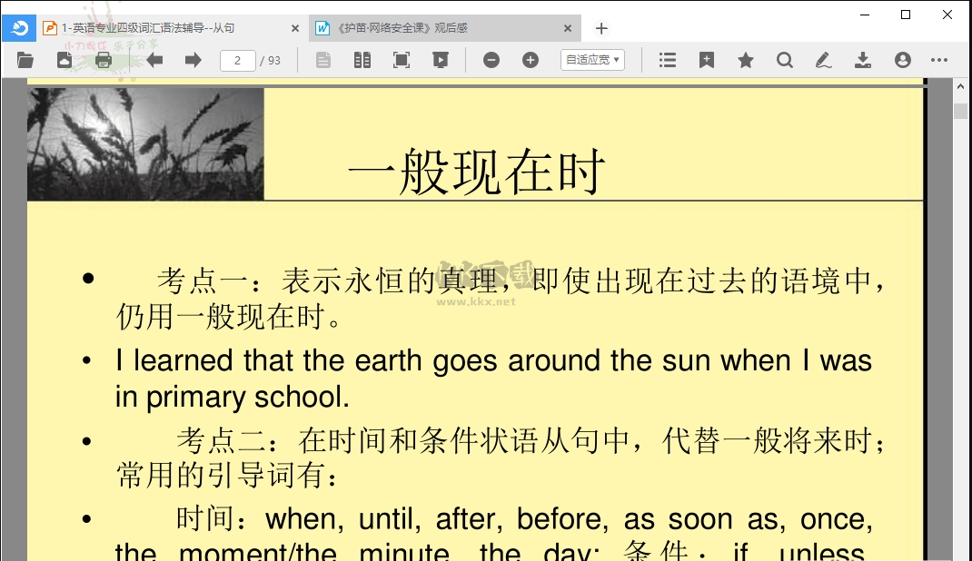 稻殼閱讀器 v2.12.65 單文件版