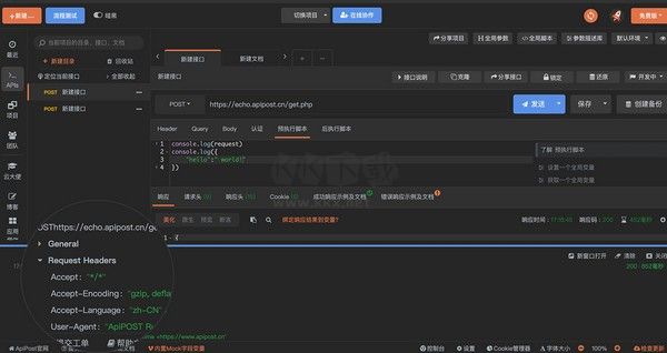ApiPost Linux版 v6.0