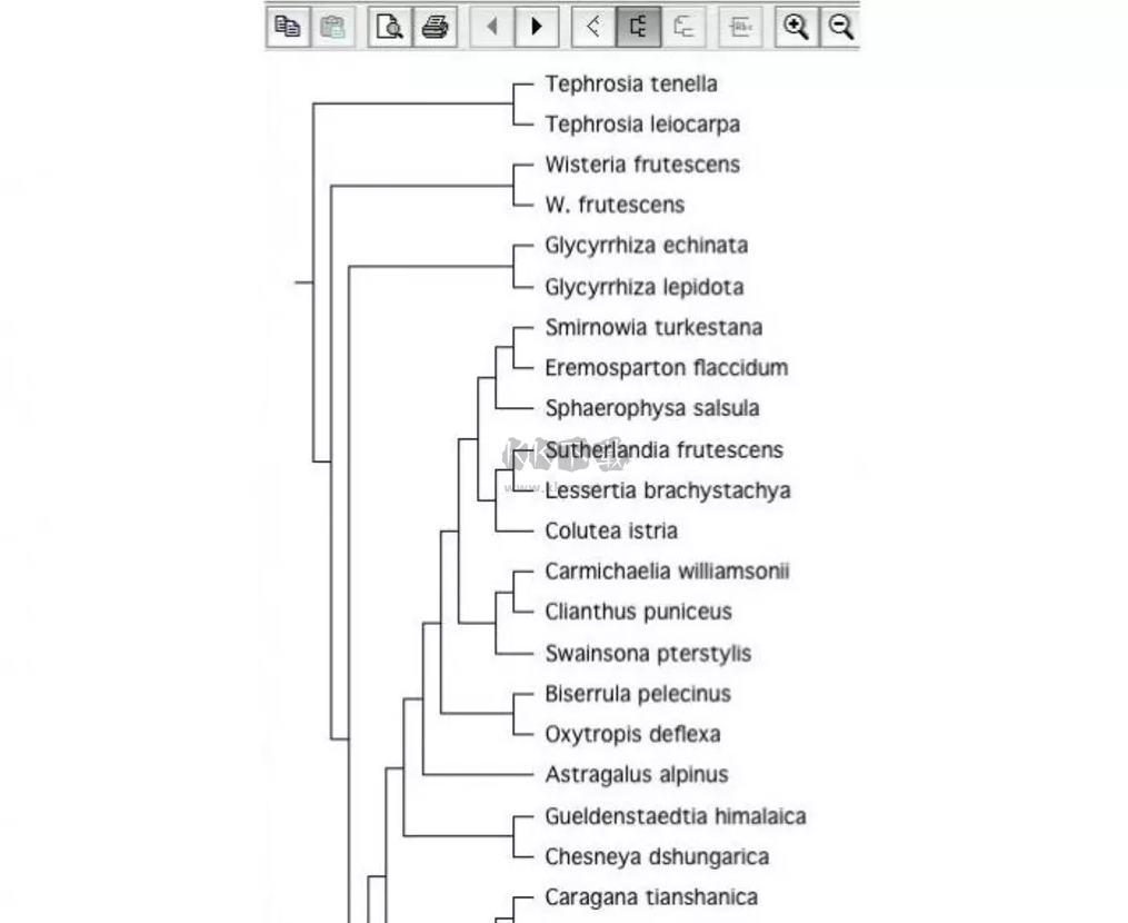 Treeview X控件 v0.5.1版