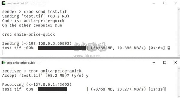 croc文件安全傳輸工具最新版
