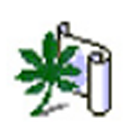 輕風(fēng)瀏覽器 v3.3 客戶端