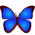 bkViewer（圖像瀏覽器）