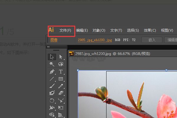Illustrator官網(wǎng)版