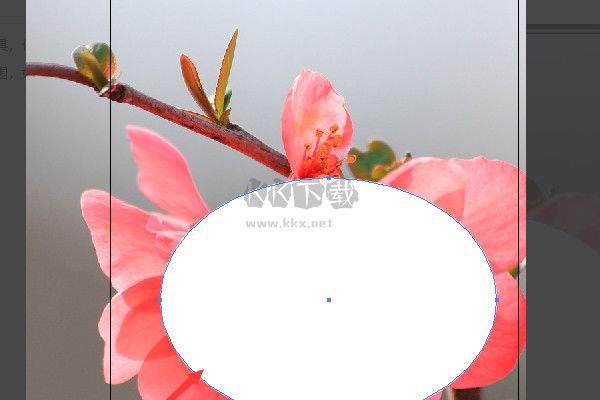 Illustrator官網(wǎng)版