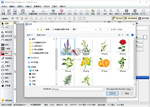 神奇條碼標(biāo)簽打印系統(tǒng)標(biāo)準(zhǔn)版