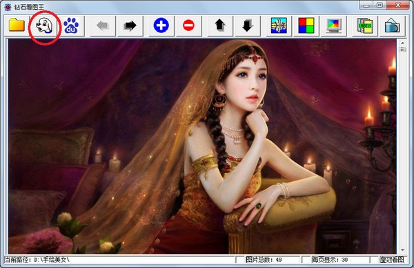 鉆石看圖王綠色版