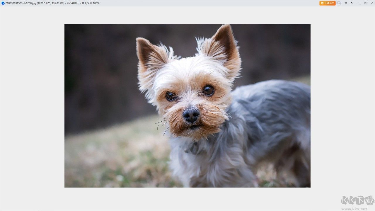 開(kāi)心看圖王免費(fèi)版