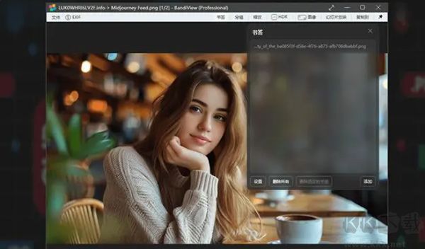 BandiView(圖像查看器)