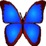 bkViewer Pro v7.6 綠色版