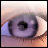 Folder Monitor 1.1.0.1 綠色版