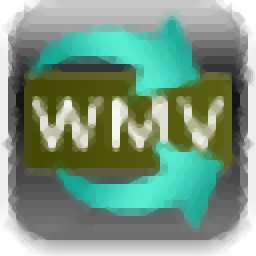 RZ WMV Converter v4.0 官方版
