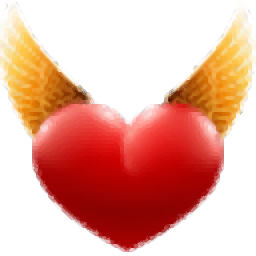 DNS Angel(DNS網(wǎng)絡(luò)防護(hù)軟件) v1.6 官方版